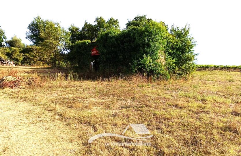 Vendesi terreno con unità collabente, Lanciano c.da Santa Giusta