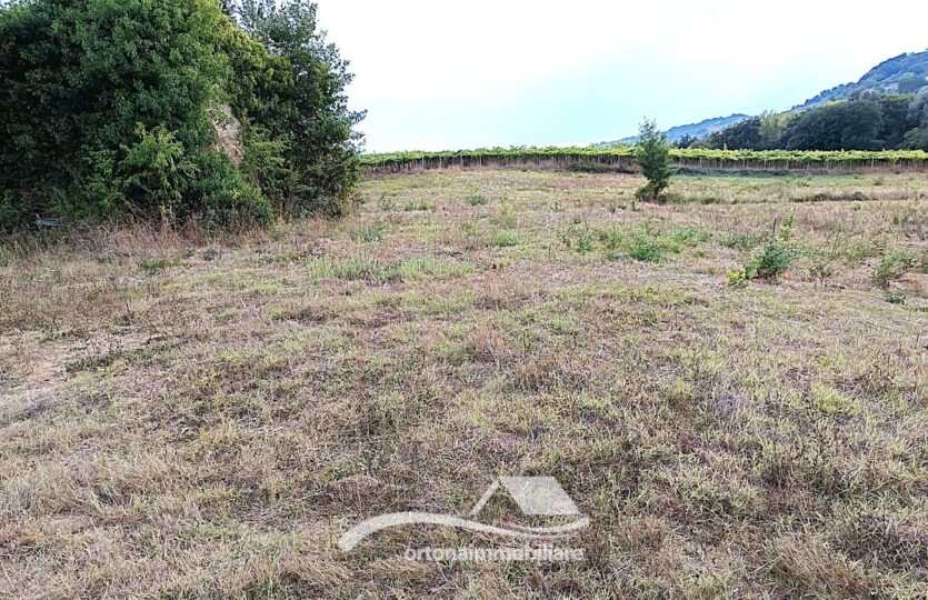 Vendesi terreno con unità collabente, Lanciano c.da Santa Giusta